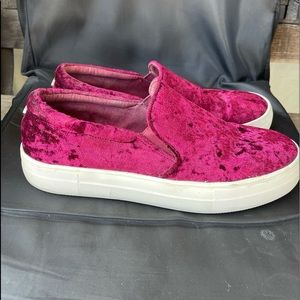 Steve Madden sneakers